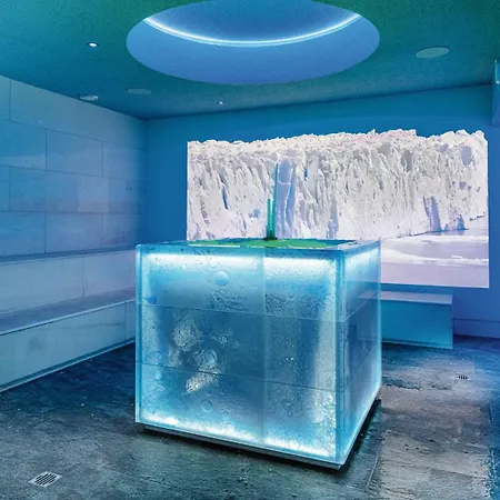 Aktiv- & Gesundheitsresort Gxund - Thermeneintritt Inklusive شقة فندقية باد هوفغاستين